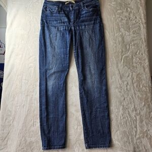 Joe’s Jeans Denim Straight Leg Women’s 30 made in Mexico